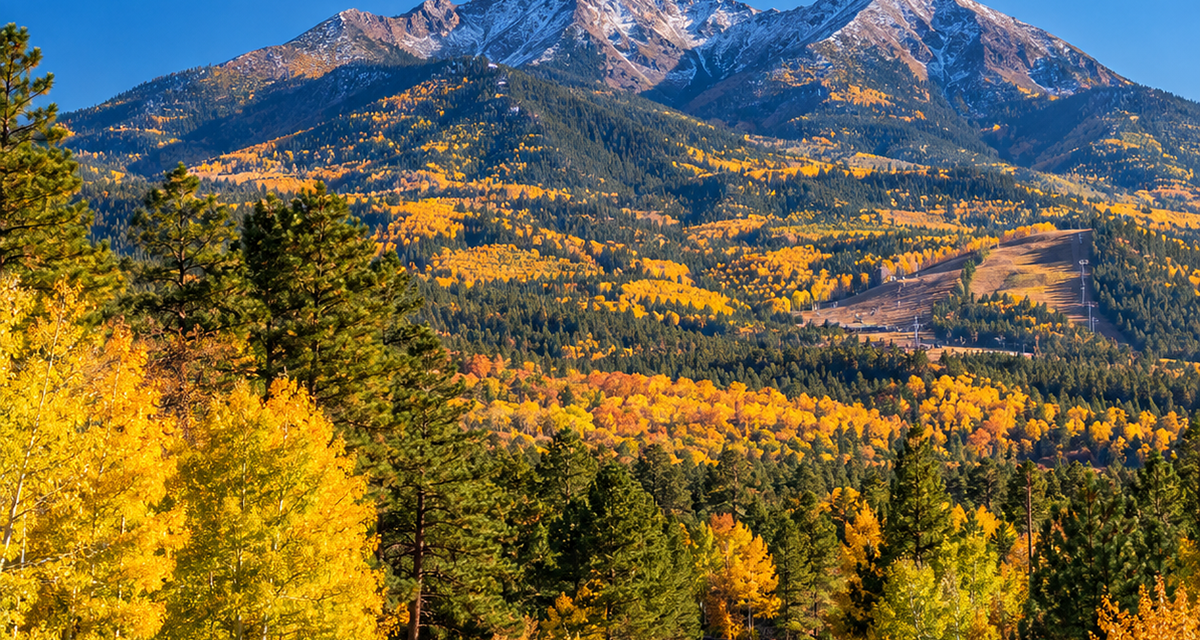 Why Fall Is Flagstaff’s Best-Kept Real Estate Secret — And Why September 13 Is the Day to Start